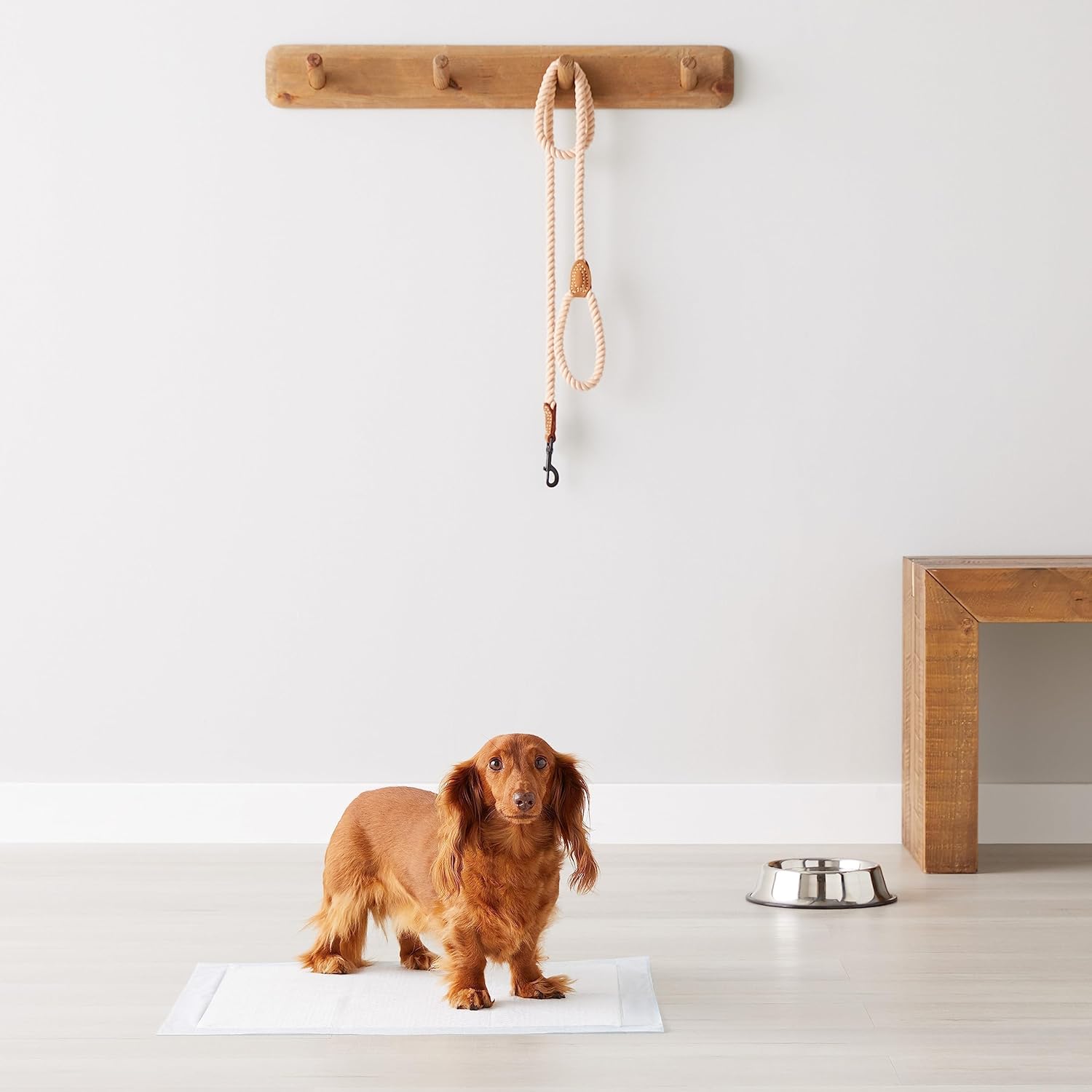 Dog and Puppy Pee Pads, 5-Layer Leak-Proof Super Absorbent, Quick-Dry Surface, Potty Training, Regular (22X22"), 100 Count, Blue & White