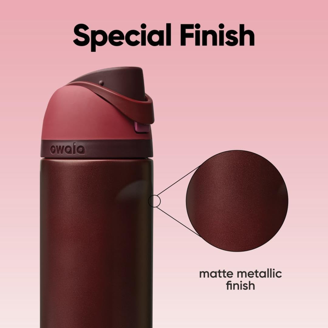 Freesip Insulated Stainless Steel Water Bottle with Straw, Bpa-Free Sports Water Bottle, Great for Travel, 24 Oz, Black Cherry