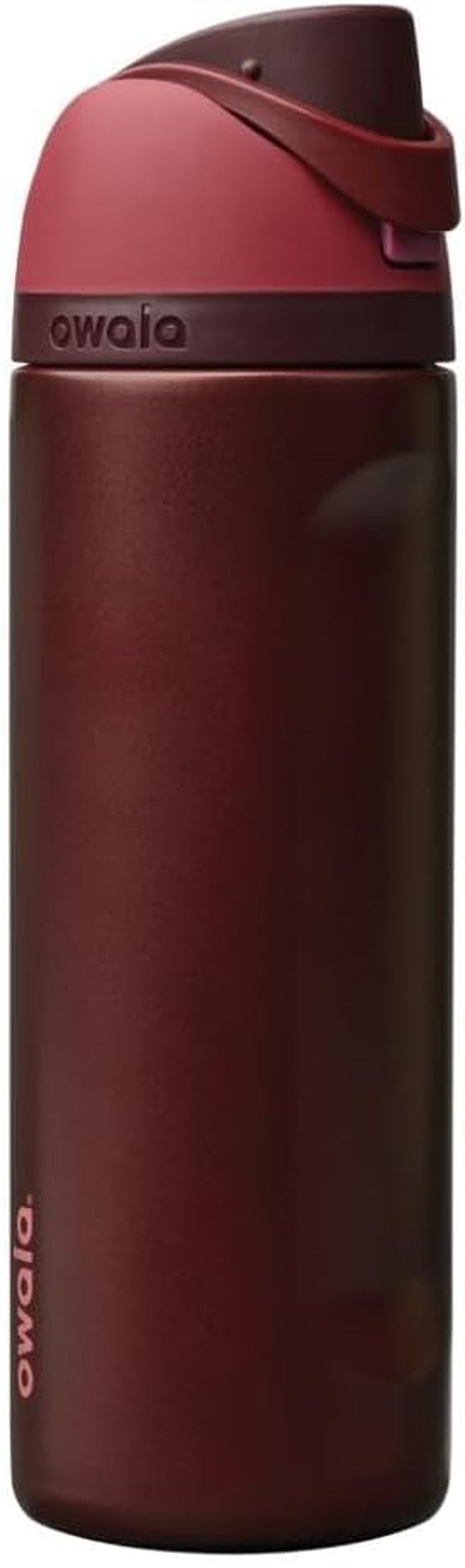 Freesip Insulated Stainless Steel Water Bottle with Straw, Bpa-Free Sports Water Bottle, Great for Travel, 24 Oz, Black Cherry