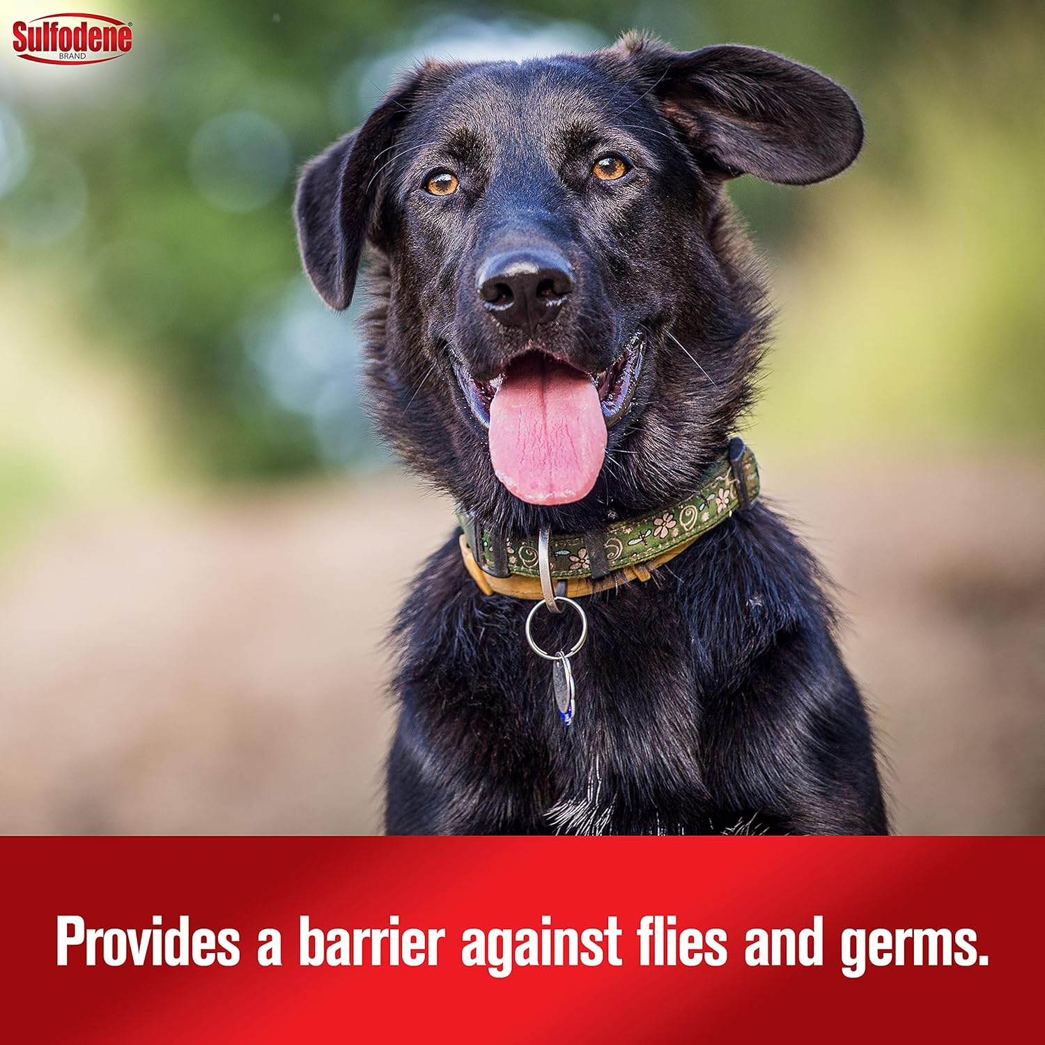 Dog Wound Care 3-Way Ointment, Relieves Pain & Prevents Infection for Dog Cuts, Scrapes, Bites and Injuries, 2 Ounce