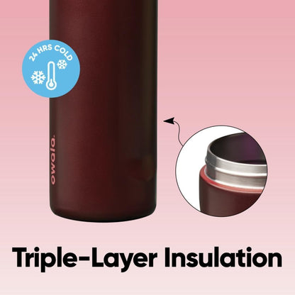 Freesip Insulated Stainless Steel Water Bottle with Straw, Bpa-Free Sports Water Bottle, Great for Travel, 24 Oz, Black Cherry