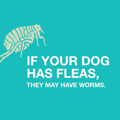 Chewable Quad Dewormer for Medium Dogs, 26-60 Lbs, 2 Chewable Tablets